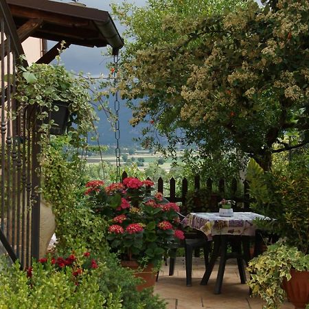 Agriturismo L'Ulivo In Fiore スポレート エクステリア 写真