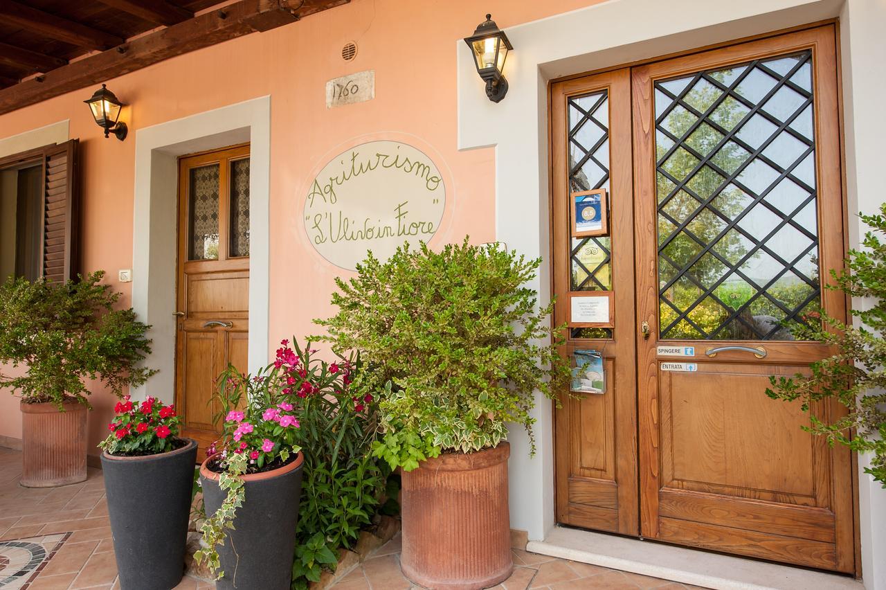 Agriturismo L'Ulivo In Fiore スポレート エクステリア 写真